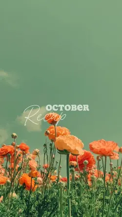 October Recap