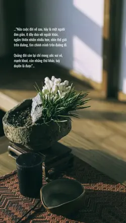 Nửa đời sau an yên