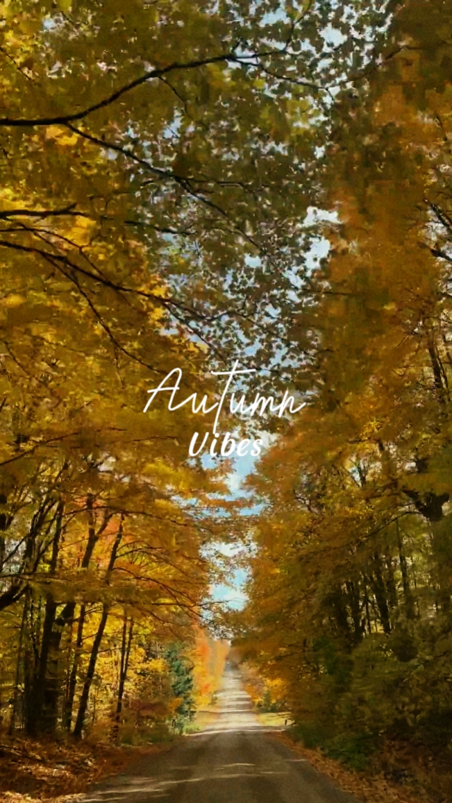 Herbst-Vibes