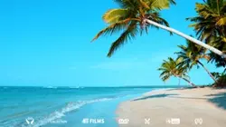 1 vidio sans