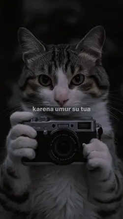 Karena umur su tua