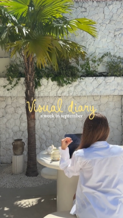 Visual diary