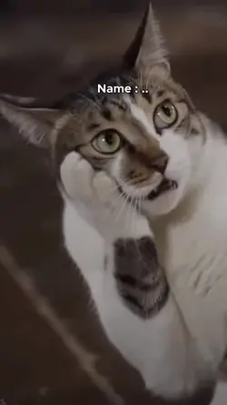 lis Nama yg Di Benci