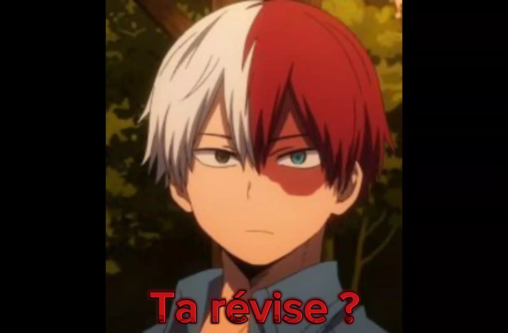 J'ai 3 grands frères