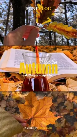 Life In Autumn 