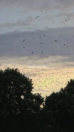 simple therapy