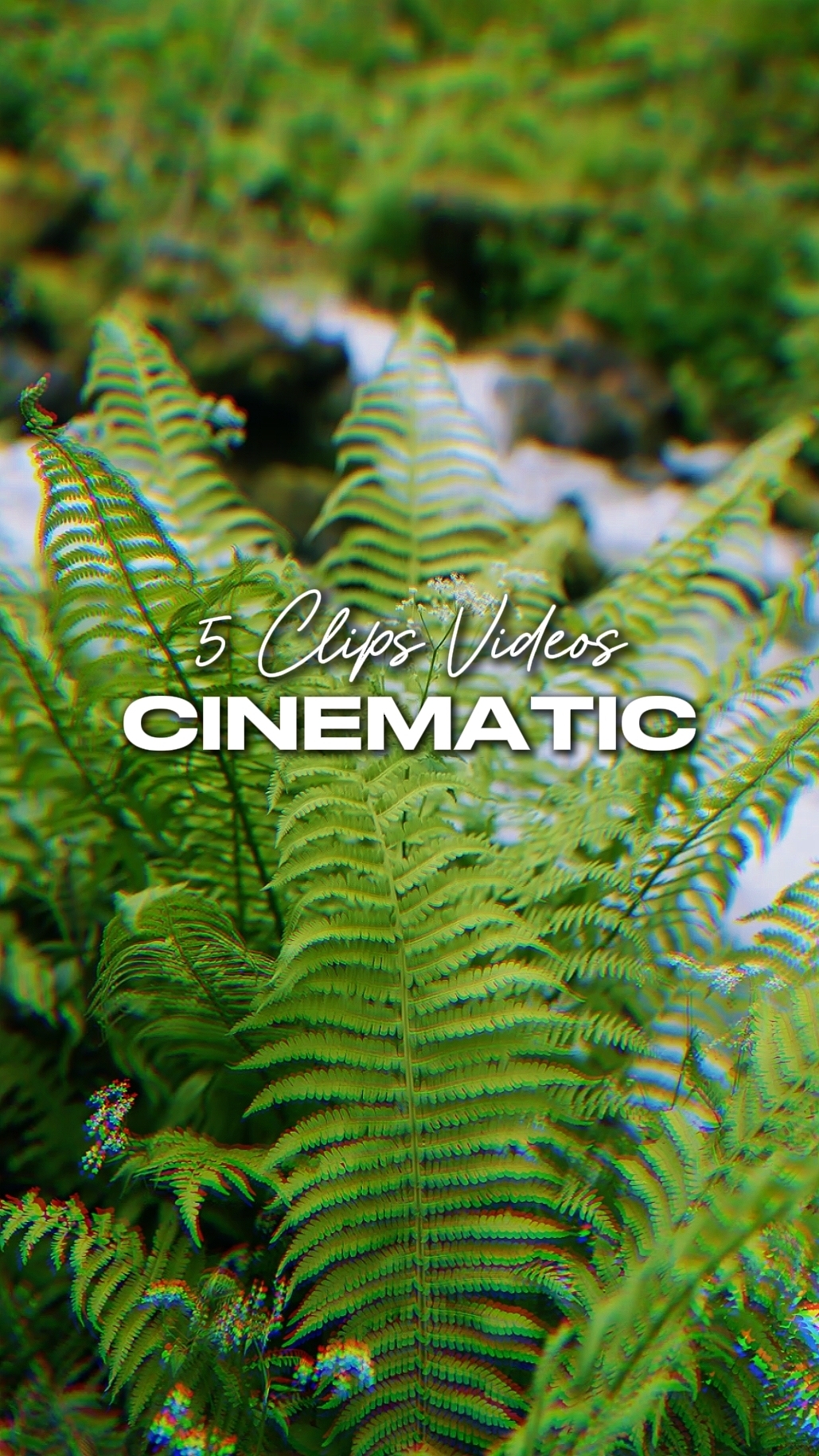 5 Video Sinematik