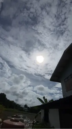 สตอรี่