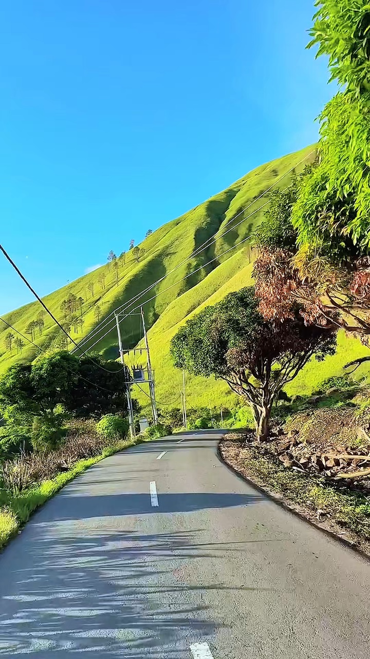 road trip video hd