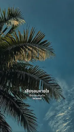 เสียงลมหายใจ
Jaonaay