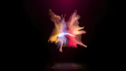 rainbow butterfly ²⁴