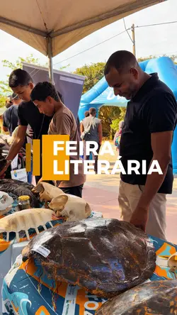 Político - vereador