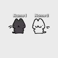 Cats dancing