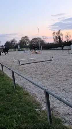 Slomo vid