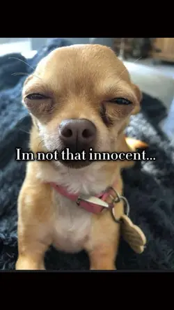 im not that innocent