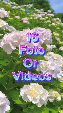 16 videos slides