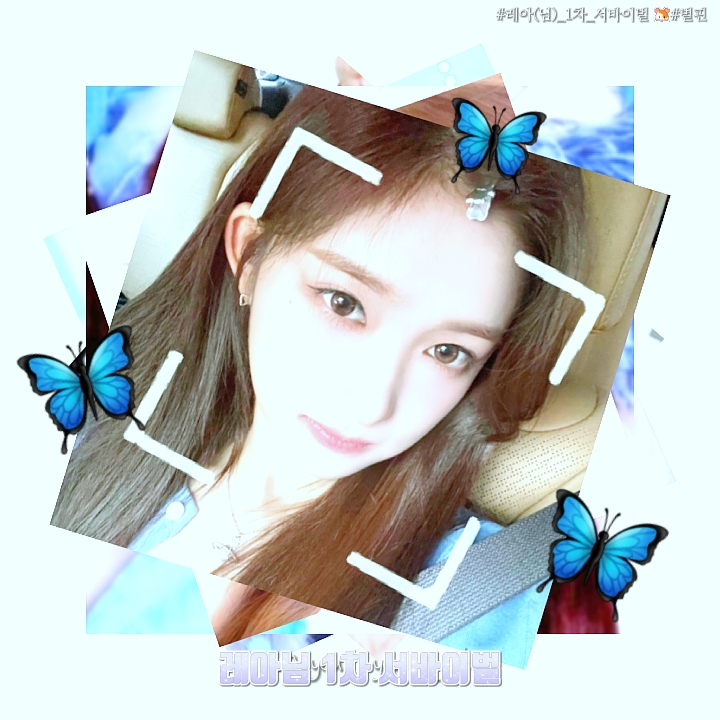 레아님 서바이벌 !