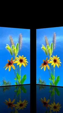 Wildflower Glow