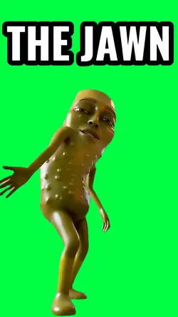 THE JAWN PICKLE