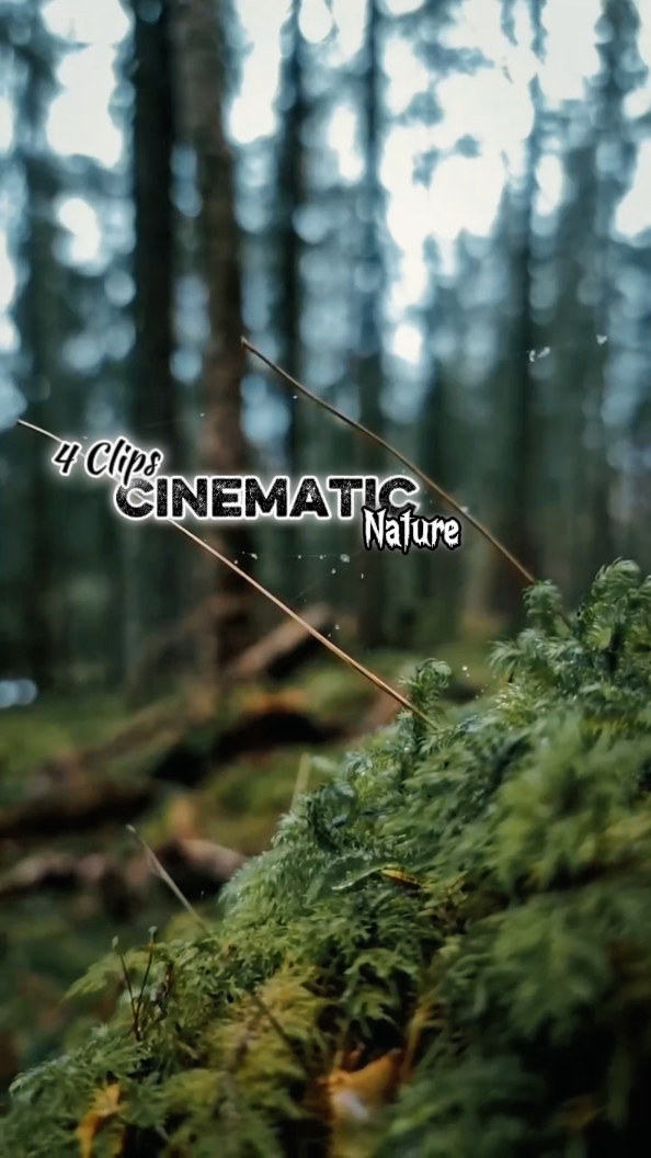 Cinematic 4 Clips 