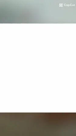 les chats trop chous