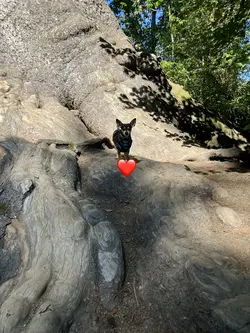 It’s peanuts bday!