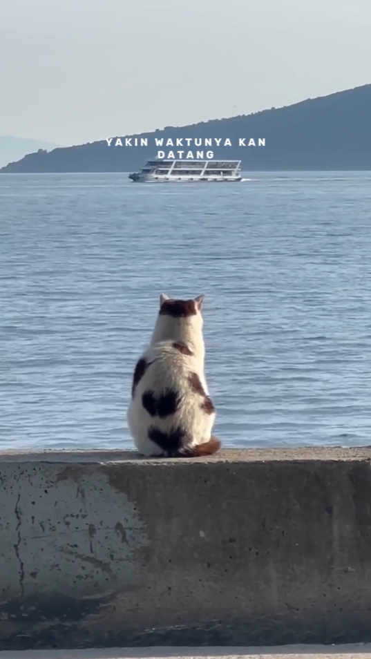 USAHAKAN LAGI YA
