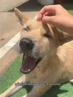 😊