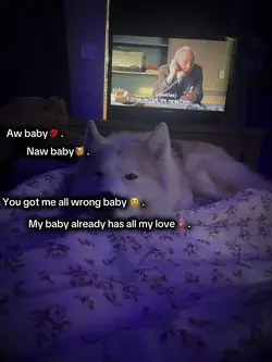 Lwk my favorite dogs