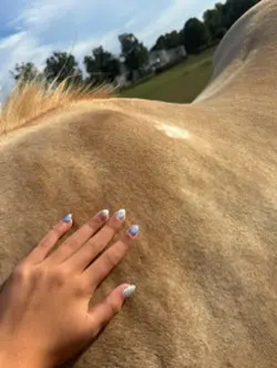 why like horses?