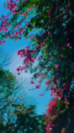 Slowmotion video 🌸✨