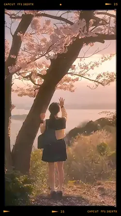 Everyone Has A Story