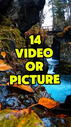 14 video or photo 