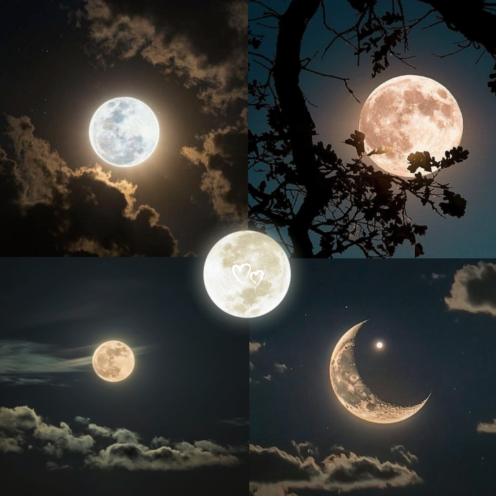 Amantes de la luna 