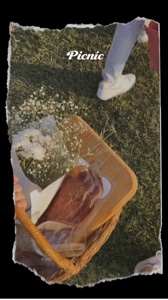 Vlog picnic