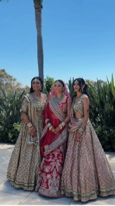 Indian wedding vlog