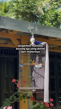 1KLIP BELAKANG BLUR