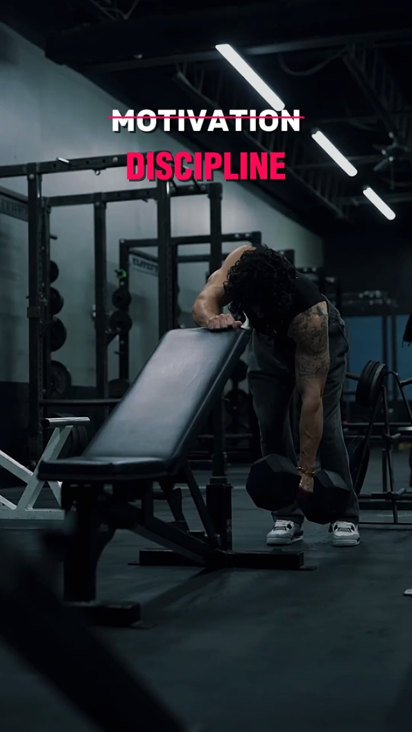 discipline 