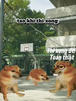 tao khi thi xong