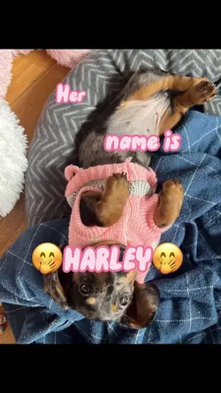 Her name is…