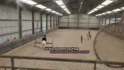 on aura essayé...