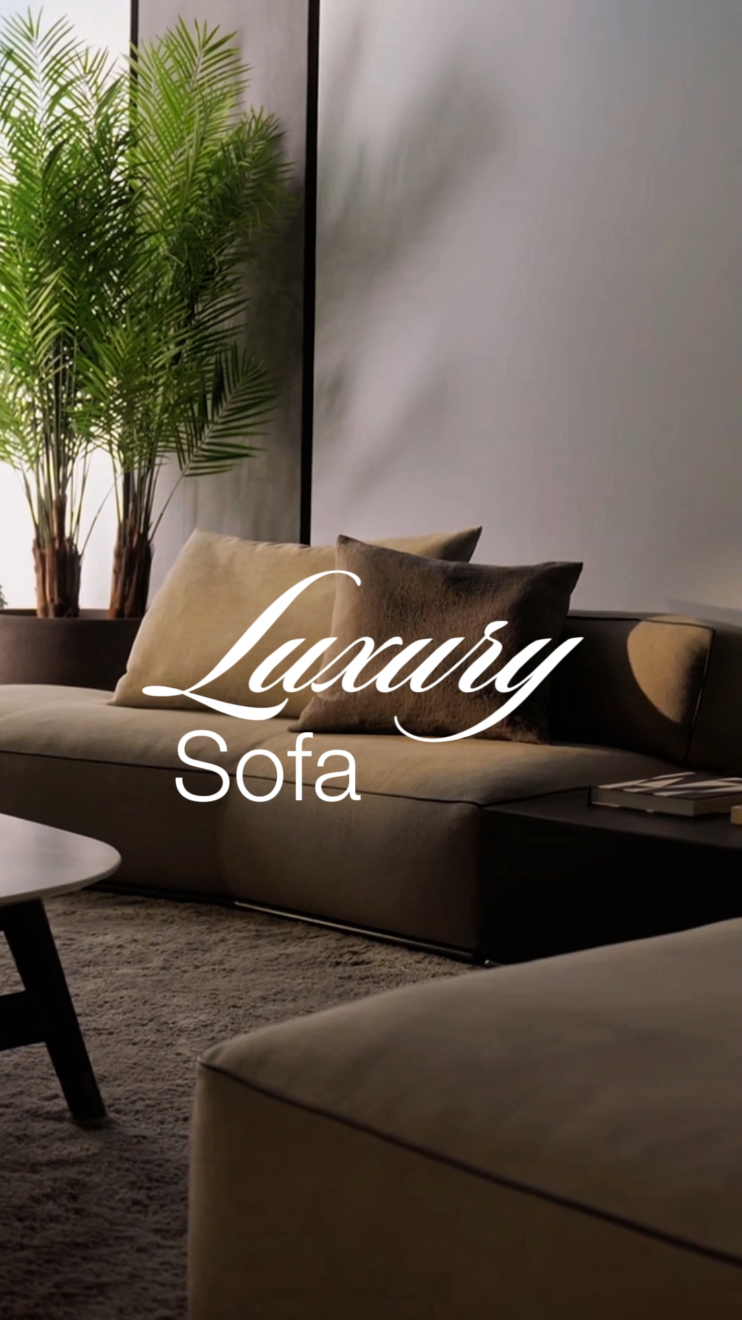sofa new collection
