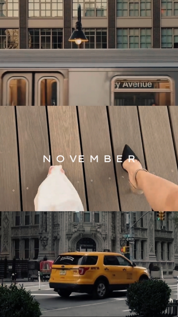 Moments de novembre