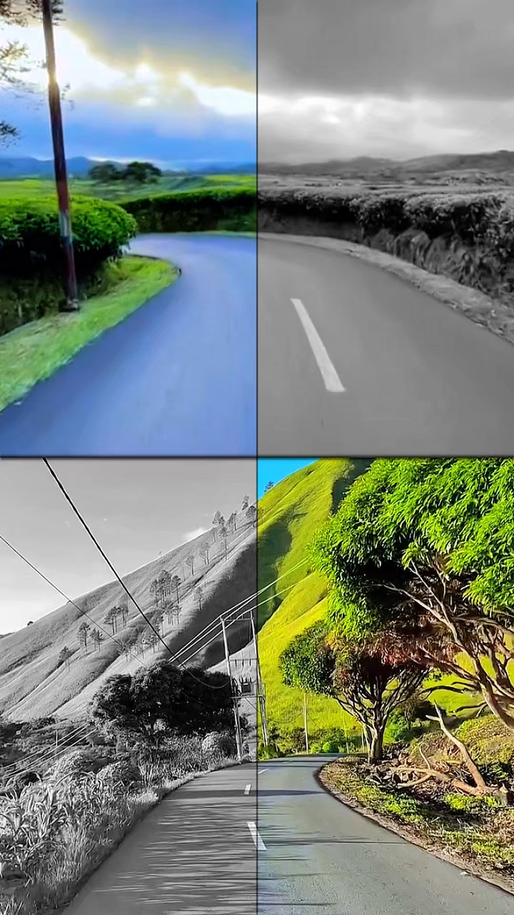 Video en pantalla dividida 