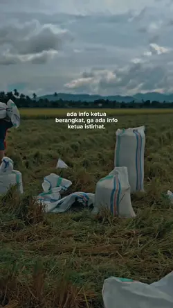 bahan sw