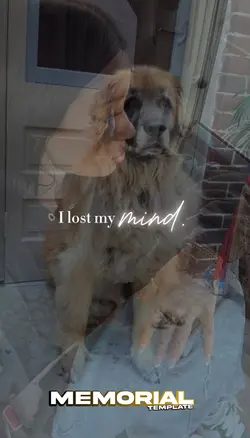 I lost my mind๐