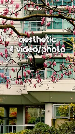 aesthetic 4 video