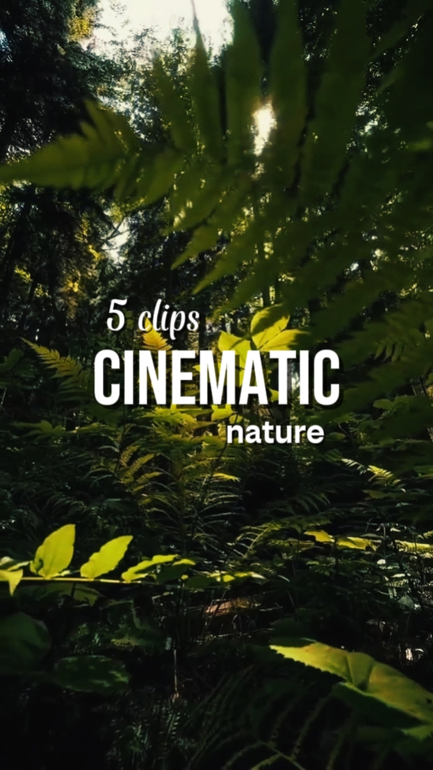 CINEMATIC NATURE