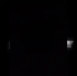 I don't say please
