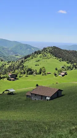 Italia